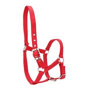 QWUUYEC Cabestro para Caballos 6mm de Grosor, Cinta de Alta Densidad, Accesorio de Equitación Rojo - Durable y Ajustable, Control Seguro para Montar y Entrenamiento