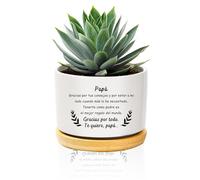QWZify Regalo Papa CumpleañOs Regalos para Papa Maceta Ceramica Regalo Padre Regalos Originales para Hombre Macetas Decorativas Interior para Padre Papá Padres Vaso Planta Macetero Blanco