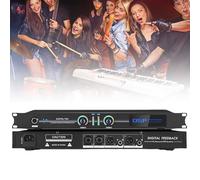 QYOEGSQ Supresor de retroalimentación Profesional, procesador de Audio con Cambiador de frecuencia de retroalimentación antiaullidos for micrófono, procesador de Audio Digital 2 entradas y 2 Salidas
