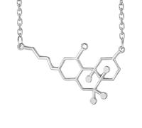 QYYZTQY 925 Sterling Silver Serotonin Necklace For Women and Men, Dopamine Molecule Necklaces Chemical Formula Necklace, Biochemistry Biochem Pendant Serotonin Dopamine Caffeine