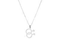 QYYZTQY 925 Sterling Silver Trans Necklace, Gay Lesbian Symbol Pendant Necklaces, Bisexual Necklace, Transgender Necklace, Her and Her Necklace Lesbian, Double Venus Necklace, Asexual Necklace