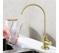 QYYZTQY Brushed Gold Swan Neck Kitchen Sink Tap Water Filter with Swivel Single Cold Feature