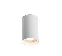 QYYZTQY Cylinder Downlight Mount Energy Save Lamps, Display Accent Lamp Wash Wall Lighting, Ceiling Spotlight with Replaceable Light Source, for Corridor Bedroom Restauran Outd (Color : White
