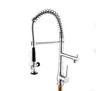 QYYZTQY Down Pull out Commercial Spring Kitchen Faucet Hot and Cold Water Deck Mounted Chrome Sink Tap 2 Spout with Standar Economic Shower Head