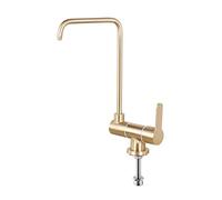 QYYZTQY Filter Brushed Gold Drinking Faucet Only Cold Water Stainless Steel Kitchen Faucets-A(C)