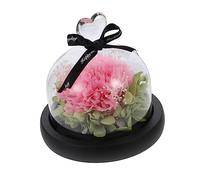 QYYZTQY Glass Table Lamp Carnations Table Lamp Carnation Decorative Desk Red Rose Flower Desktop Lamp Red Rose Light Party Light Shift Knob The Led Pink Pred Flower