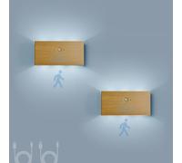 QYYZTQY Indoor with Motion Sensor Lamp USB Rechargeable Battery Operated Wireless Wall 2700K/6500K Magnetic for Living Room Bedroom Stairs (D-Warm Light,2 Packs)