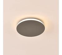 QYYZTQY Italian Minimalism LED Flush Mount Ceiling Light Three Color Temperature Adjustable Ceiling Lighting Wall Lamp and Ceiling Lamp Dual Purpose Lighting Fixture for Bedside Bedroom and Li (Color