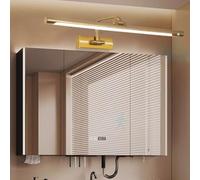 QYYZTQY Mirror Light Indoor Motion Sensor with Swivel Lamp Head Wall 180°+180° Rotation Acrylic for Bedroom Corridor Bathroom (Gold-Neutral Light,80cm)