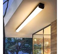 QYYZTQY Outdoor Light IP65 Waterproof Villa Lamp Long Strip Garden Decorative Wall Outdoor/Indoor Aluminium for Proch Garage Terrace (Warm Light,60cm)