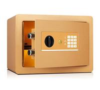 QYYZTQY Safe Box 25CM Small Safe Home Office Hotel Special Safe All-Steel Safe File Cabinet For Home and Office