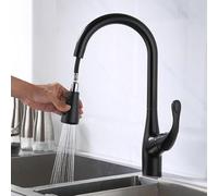 QYYZTQY Single Hole Brass Telescopic Swivel Kitchen Pull-out Hot & Cold Water Sink Faucet, Black
