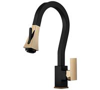 QYYZTQY Sink Black Gold 360° Swivel Faucet 4-Mode Pull out Sprayer Brass Single Handle Cold and Hot Kitchen Mixer Tap with Removable Water Saving Nozzle