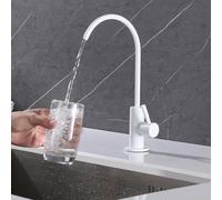QYYZTQY Stainless Steel Kitchen Sink Swan Neck Filter Faucet White Single Handle Cold Water Tap