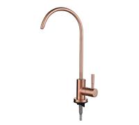 QYYZTQY Stainless Steel Swan Neck Kitchen Sink Tap with Drinking Water Filter Single Cooling Rose Gold