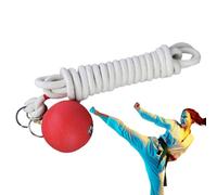 Qzdtue Equipo suave de artes marciales, cuerda de entrenamiento, herramienta de desarrollo de habilidades de dardos, 137.8 pulgadas de grosor, entrenador tradicional chino fácil de usar para construir