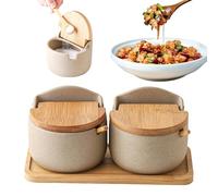 Qzdtue Salt and Sugar Jar Set, Countertop Salt Holder, Kitchen Seasoning Containers, Ceramic Salt and Sugar Jars, Household Salt Jar Set 8.98x4.25x3.74 inches for Counter Sugar Ginger Powder