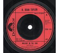 R.DEAN TAYLOR - WALKIN' IN THE SUN 7 INCH (7" 45) UK POLYDOR 1975 (Katalog-Nummer: 2058559)
