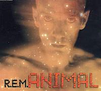 R.E.M. - Animal (Int'L Enhanced Maxi Single 42706)