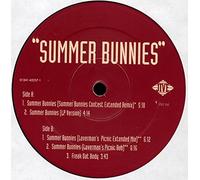 R Kelly & Public Announcement - Summer Bunnies [Vinilo]