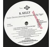 R. Kelly - Snake (Remix) - Jive