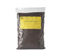 R&R SHOP - Semillas de Facelia, Phacelia Tanacetifolia, Floración Rápida, Rica en Néctar para Abejas y Mariposas, Ideal para Céspedes y Jardines (500 g - 300 m²)