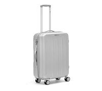R Roncato Flight 4r Trolley Trolley para portátil 66 Centimeters Plateado (Argento)