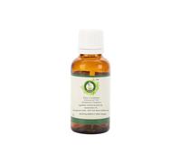 R V Essential Aceite esencial de alcanfor puro 100ml (3.38oz)- Cinnamomum Camphora (100% puro y vapor natural destilado) Pure Camphor Essential Oil