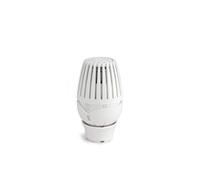 R460 G4COMINI cabezal termostático con sensor de líquido R460X001
