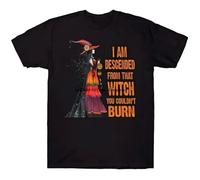 R5YGxdsewws I-Am-Descended-from-That-Witch-You-Couldn-t-Burn-Awesome-Halloween-T-Shirt