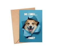R7vTorque Tarjeta de cumpleaños de Pembroke Welsh Corgi - Do I Smell Cake Funny Puppy Peeking Through Rasgado Ilustración de papel - Lindo saludo para amantes de las mascotas - Divertido regalo de