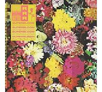 Ra Ra Riot - Superbloom [VINYL] [Vinilo]