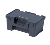 Raaco Caja Transportadora Mediana Solid Box 2, Polipropileno, 370mm