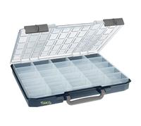 raaco CarryLite 55 5x10-25/1: Organizador de Tornillos Ligero, con 25 Compartimentos, Capacidad de Carga 10 kg, Almacenamiento Seguro, Tapa Transparente, Caja Organizadora Tornillos 33 x 41,3 x 5,7 cm