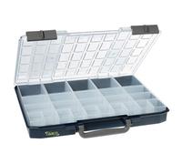 raaco CarryLite 55 5x10-25/2: Organizador de Tornillos Ligero, con 25 Compartimentos, Capacidad de Carga 10 kg, Almacenamiento Seguro, Tapa Transparente, Caja Organizadora Tornillos 33 x 41,3 x 5,7 cm