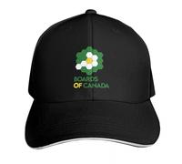 RAAXIHL Gorra béisbol Boards of Canada Gorra Divertida Gorra Sol Gorra Mujer Lujo Hombres Mujeres Invierno Calidez