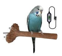 Rabagador de jaula de pájaros: soporte de loro de sucursal de plataforma