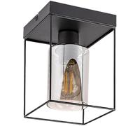 Rabalux Chadwick lámpara de techo 1x25 W negro-ahumado 71031