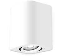 Rabalux Kobald lámpara de techo 1x42 W blanco 2050