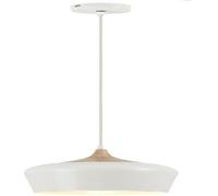 Rabalux Sadie lámpara colgante 1x60 W blanco 2563