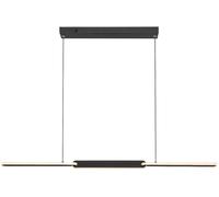 Rabalux Sindri lámpara colgante 1x36 W negro 72231