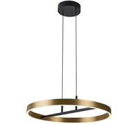 Rabalux Thric lámpara colgante 1x42 W negro-oro 72221