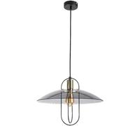 Rabalux Vida lámpara colgante 1x8 W negro-humado 5000