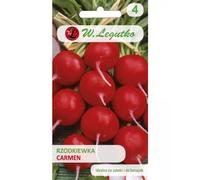 Rábano Carmen - redondo, rojo