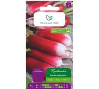 Rábano De dix-huit jours