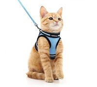 rabbitgoo Arnes Gatos y Correa 150cm Chaleco Ajustable Antitirones Reflectante Cómodo Correa Mágica para Fácil de Poner y Quitar para Paseo Diario Arnes para Perro Pequeño Conejos Gatos M Azul Claro