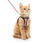 rabbitgoo Arnes Gatos y Correa 150cm Chaleco Ajustable Antitirones Reflectante Cómodo Correa Mágica para Fácil de Poner y Quitar para Paseo Diario Arnes para Perro Pequeño Conejos Gatos M Rosado