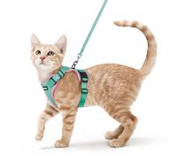 rabbitgoo Arnes para Gatos Antiescape con Correa 150cm, Arnes Gato Ajustable Reflectante, Chaleco de Tela de Malla Suave y Transpirable, Arnés Gato Mediano para Caminar Entrenar, S, Verde y Rosado