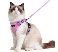 rabbitgoo Arnes para Gatos Antiescape con Correa 150cm, Arnes Gato Ajustable Reflectante, Chaleco de Tela de Malla Suave y Transpirable, Arnés Gato Grande para Caminar, M, Rosado y Violeta Claro