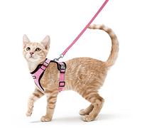 rabbitgoo Arnes para Gatos Antiescape con Correa 150cm, Arnes Gato Ajustable Reflectante, Chaleco de Tela de Malla Suave y Transpirable, Arnés Gato Mediano para Caminar Entrenar, S, Rosado